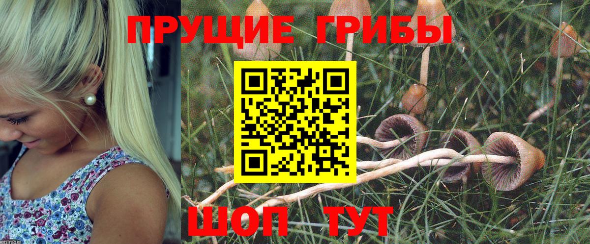 Псилоцибиновые грибы ЛСД Гагарин